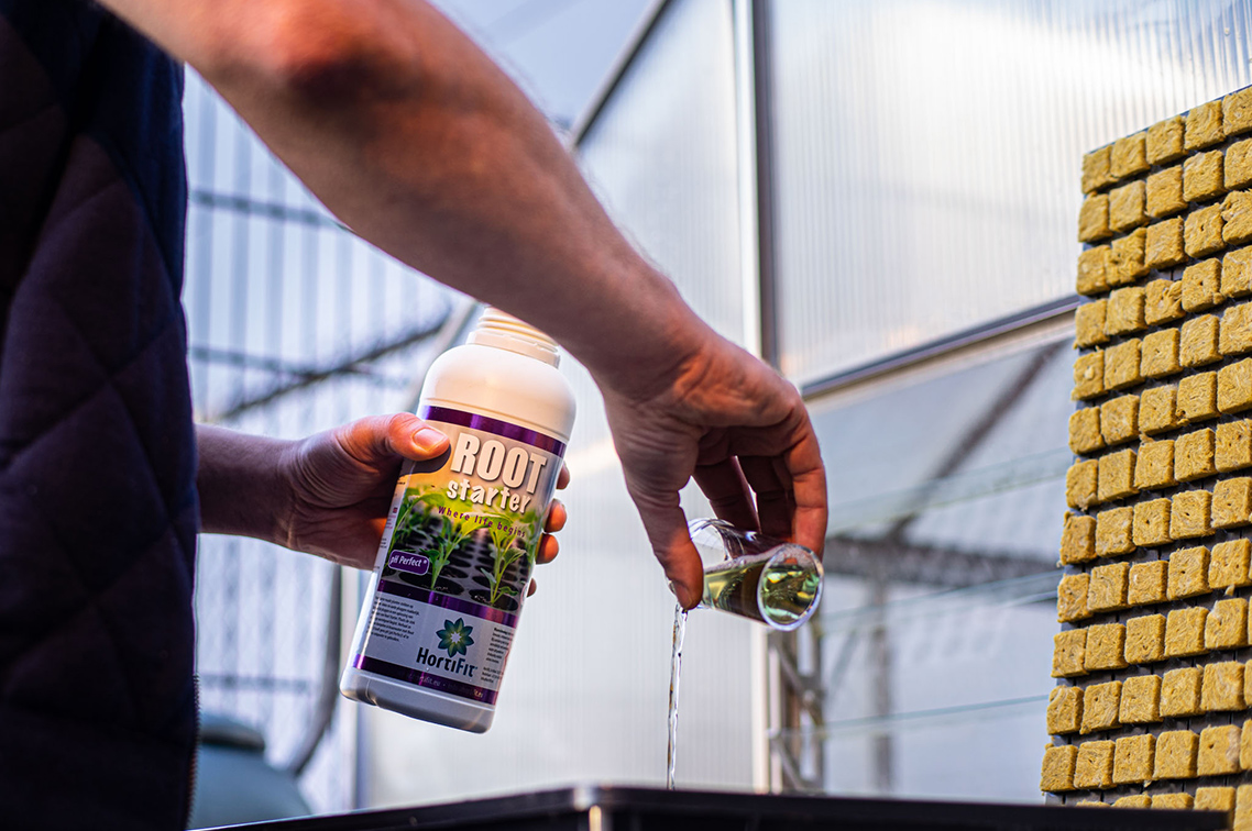 Hortifit Rootstarter